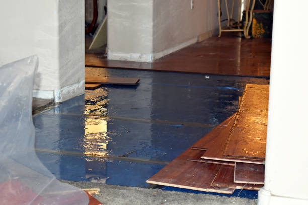 Professional Water Damage Restoration technician working in Wilton, CT
